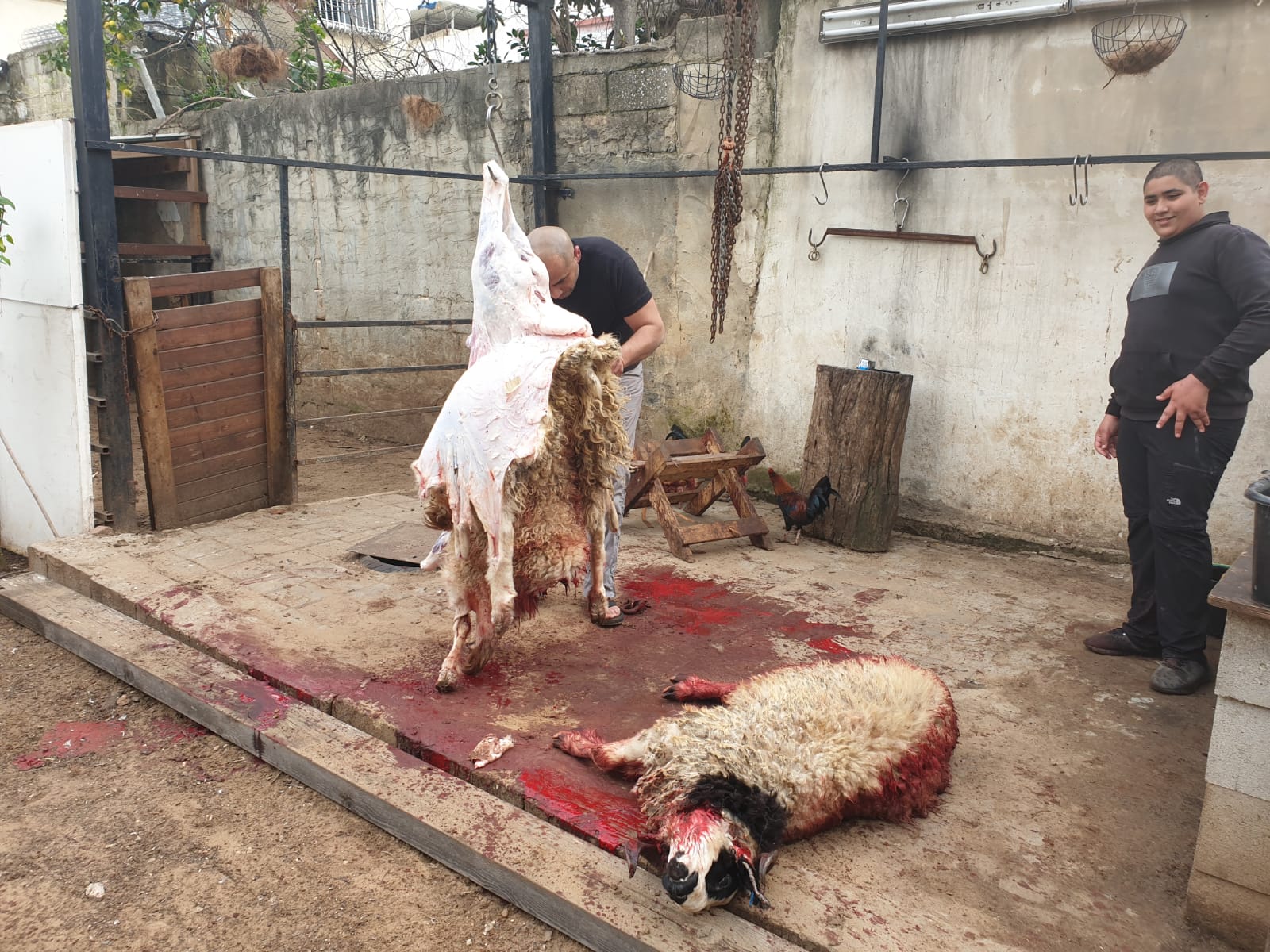 WhatsApp Image 2020-03-06 at 3.47.33 PM.jpeg.jpeg